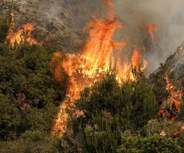 Cosaint Dóiteáin Foraoiseachta